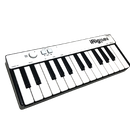 IK Multimedia iRig Keys Mini 25-Mini-Key USB MIDI Keyboard Controller