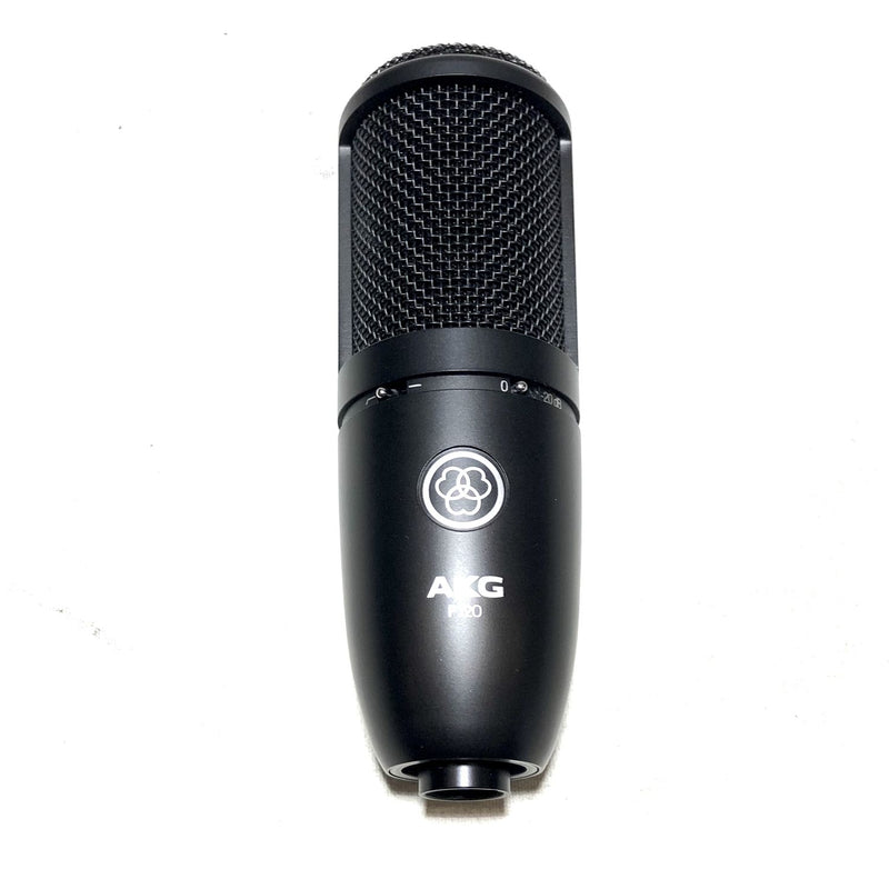 AKG P120 Cardioid Condenser Microphone (Black)