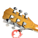 Calypso 140TAS 6-String Acoustic Guitar