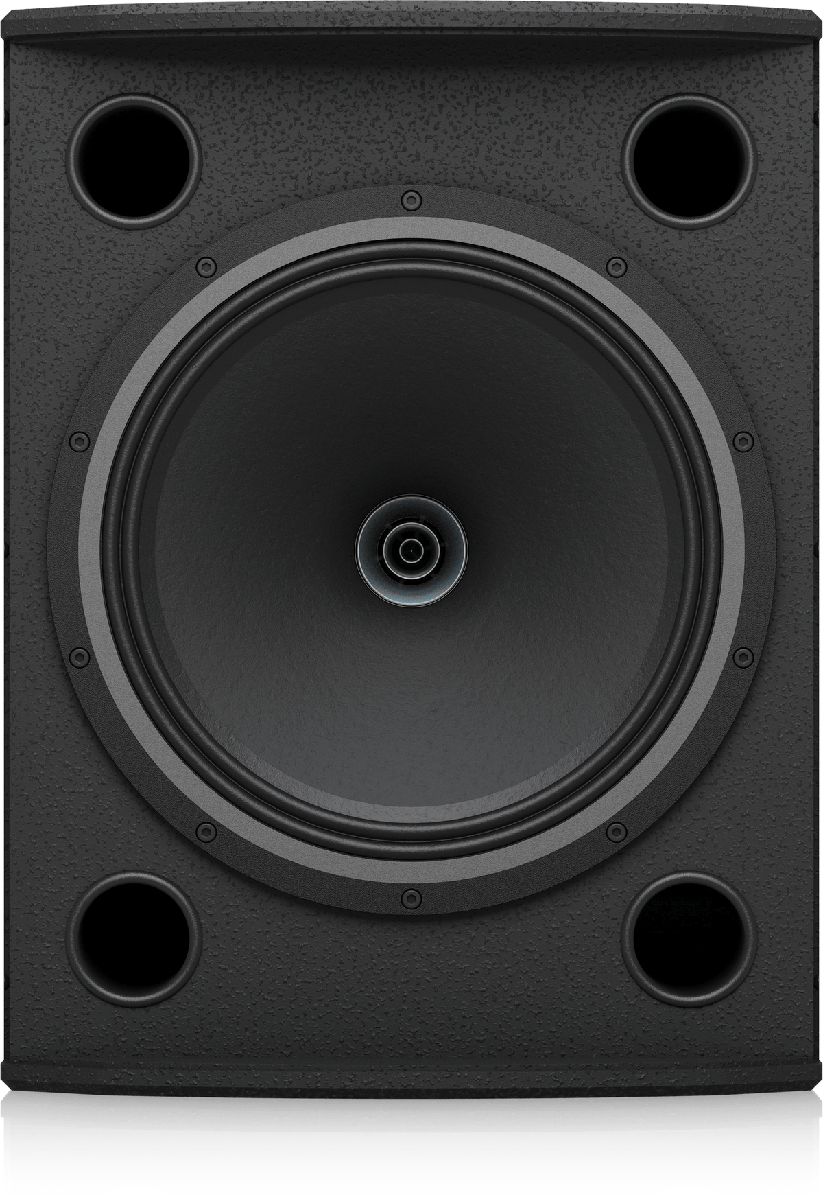 Tannoy VX12-BK 12
