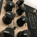 NuX NGS-6 Amp Academy Stomp-Box Amp Modeler Pedal - DEMO